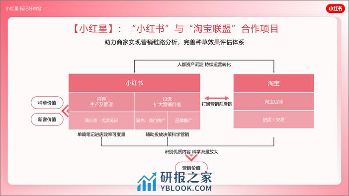 小红星·标记好内容 - 第4页预览图