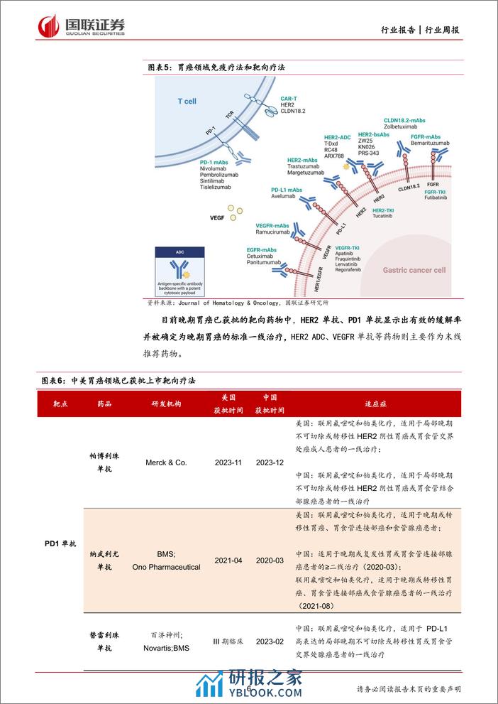 Claudin18.2药物-开启胃癌靶向治疗新篇章-国联证券 - 第6页预览图