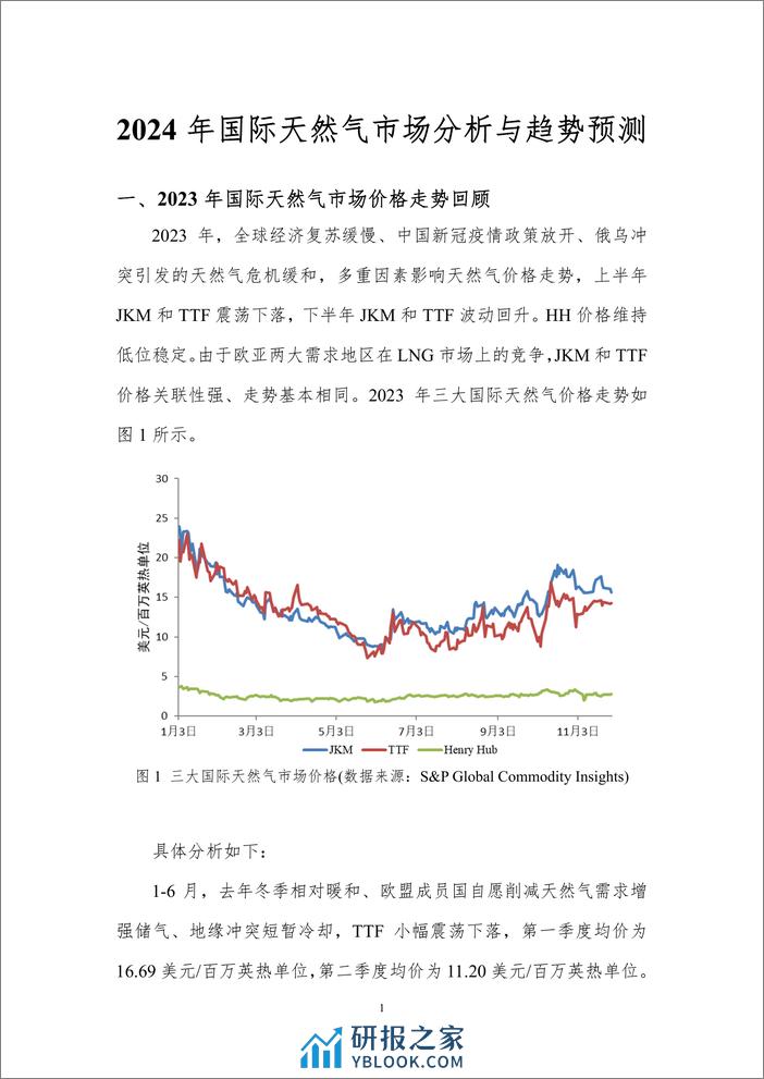 北京理工大学：2024年国际天然气市场分析与趋势预测 - 第3页预览图