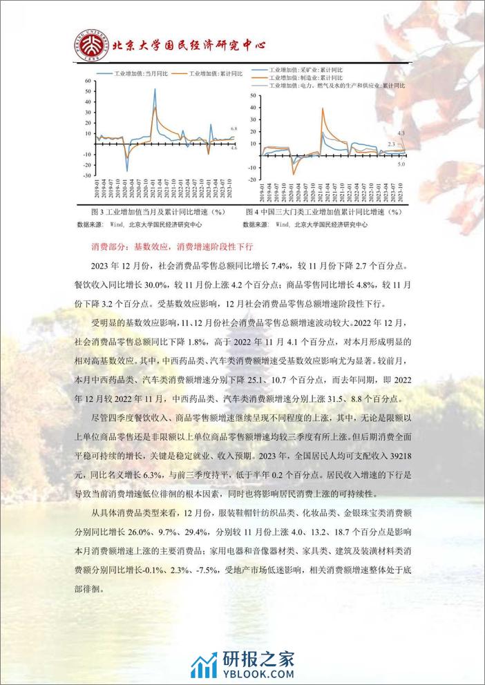 政策支撑叠加基数效应，经济继续复苏-北大经济研究所 - 第6页预览图