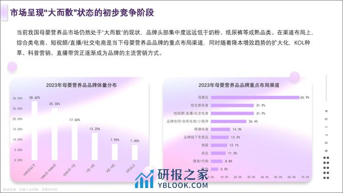 新生代养护：母婴营养品市场洞察解析 - 第7页预览图