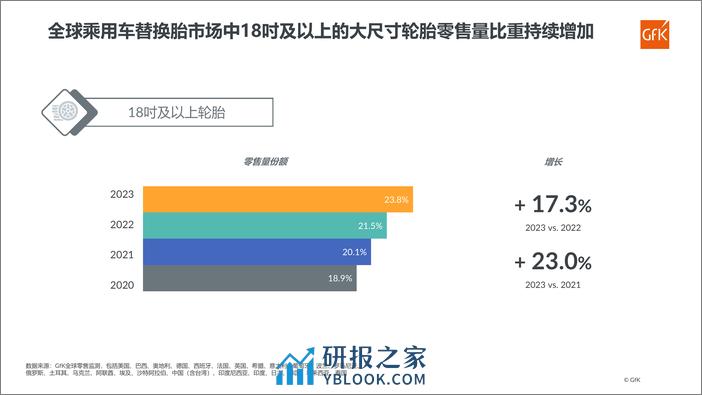 全球与中国乘用车替换胎市场回顾与展望 - 第6页预览图