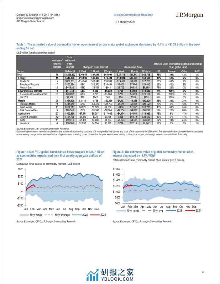 JPMorgan Econ  FI-Commodity Market Positioning  Flows Appendix Crude leads fi...-106590894 - 第3页预览图