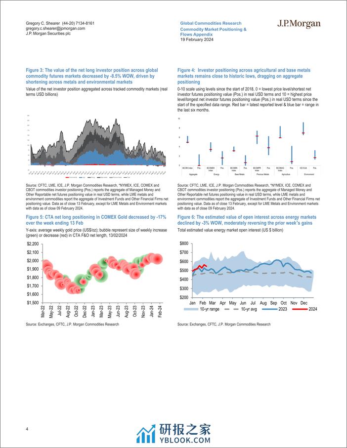 JPMorgan Econ  FI-Commodity Market Positioning  Flows Appendix Crude leads fi...-106590894 - 第4页预览图