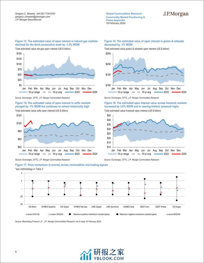 JPMorgan Econ  FI-Commodity Market Positioning  Flows Appendix Crude leads fi...-106590894 - 第6页预览图