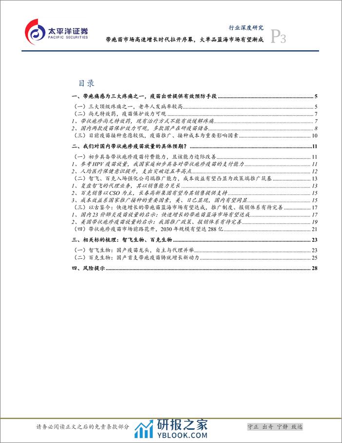 太平洋：生物医药Ⅱ行业深度研究-带疱苗市场高速增长时代拉开序幕-大单品蓝海有望渐成 - 第3页预览图