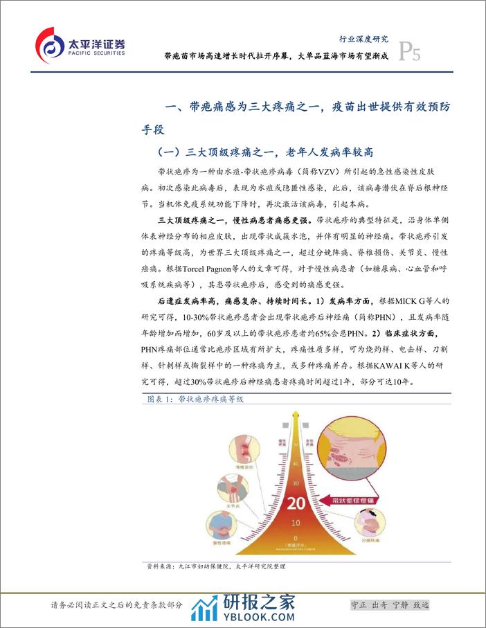 太平洋：生物医药Ⅱ行业深度研究-带疱苗市场高速增长时代拉开序幕-大单品蓝海有望渐成 - 第5页预览图