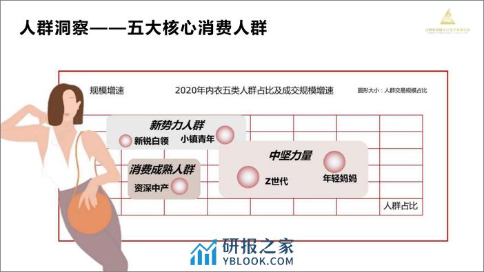 爱慕内衣品牌直播营销方案 - 第7页预览图