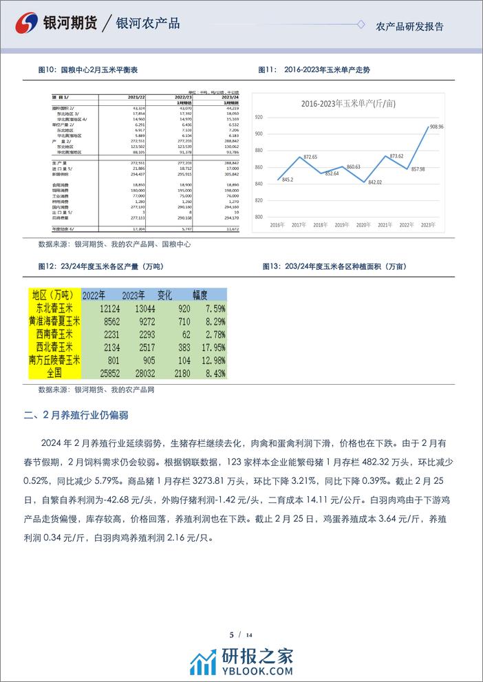 玉米&淀粉报告：收储政策影响 玉米现货会继续上涨-20240228-银河期货-14页 - 第5页预览图