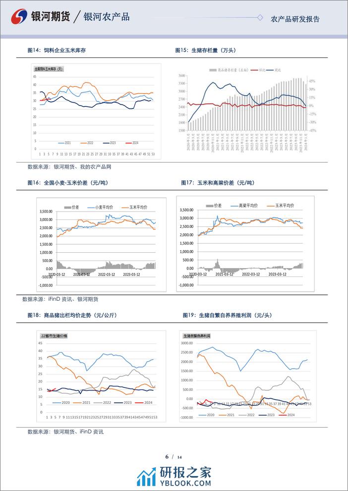 玉米&淀粉报告：收储政策影响 玉米现货会继续上涨-20240228-银河期货-14页 - 第6页预览图