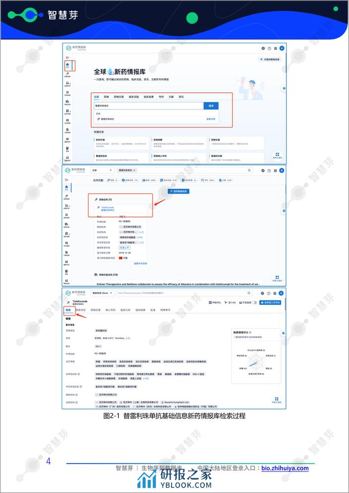 百济神州替雷利珠单抗专利调研实操指南 - 第7页预览图