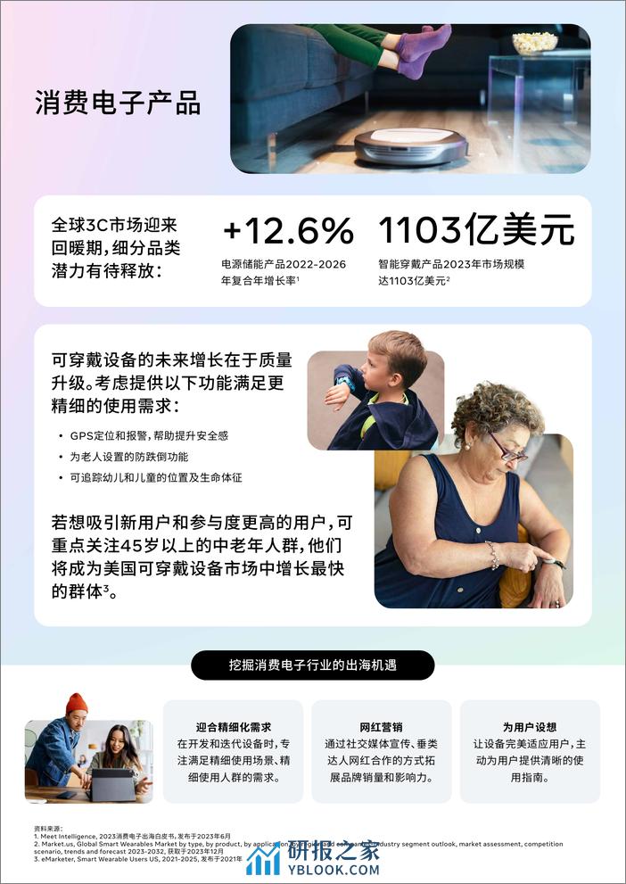 一文看懂 DTC 细分品类出海机遇-6页 - 第4页预览图