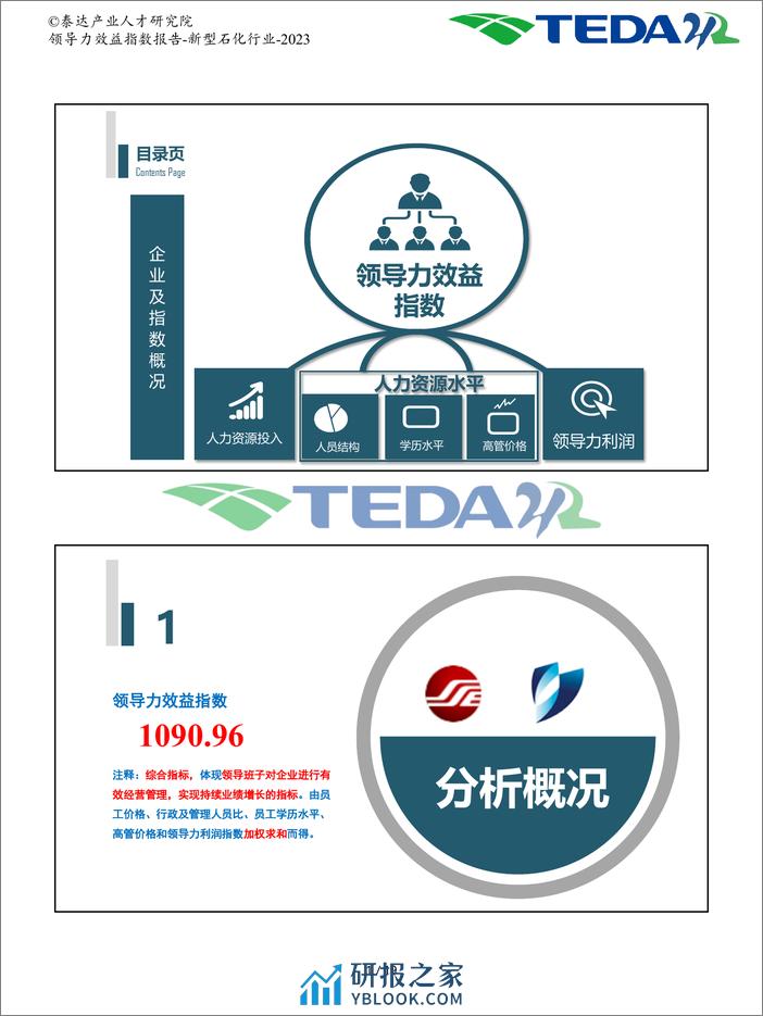 泰达：2023领导力效益指数报告-新型石化 - 第2页预览图