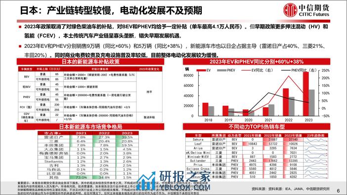 2023年新兴国家新能源车需求分析与2024年展望 - 第7页预览图