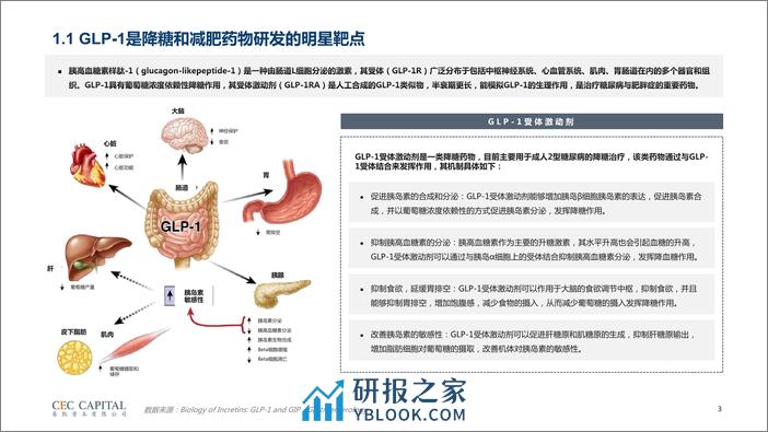 【易凯】GLP-1药物行业研究 - 第3页预览图