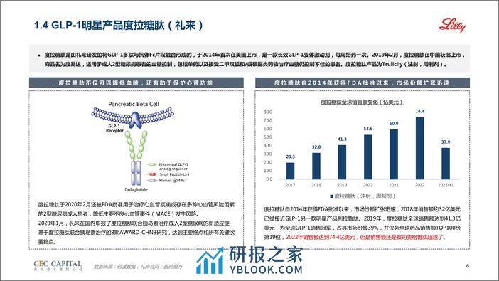 【易凯】GLP-1药物行业研究 - 第6页预览图