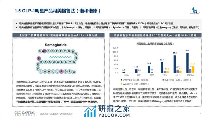 【易凯】GLP-1药物行业研究 - 第7页预览图