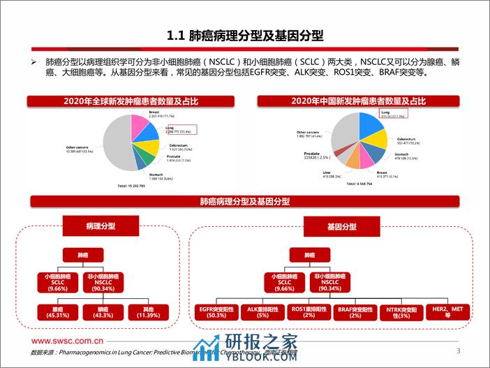 创新药专题：ADC和双抗领衔EGFR敏感突变三代TKIs耐药后和1L NSCLC，20ins小分子竞争激烈 - 第4页预览图