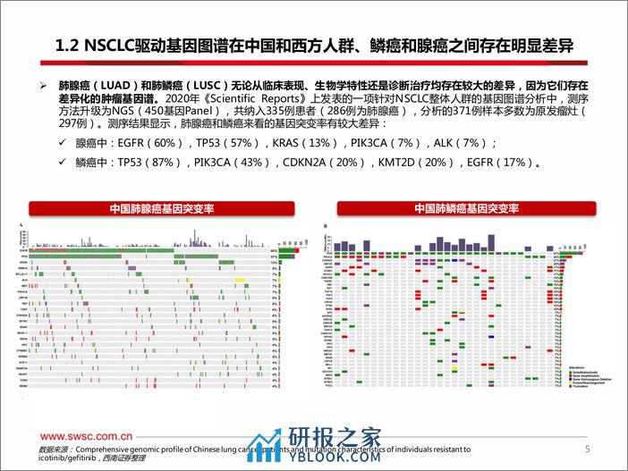 创新药专题：ADC和双抗领衔EGFR敏感突变三代TKIs耐药后和1L NSCLC，20ins小分子竞争激烈 - 第6页预览图