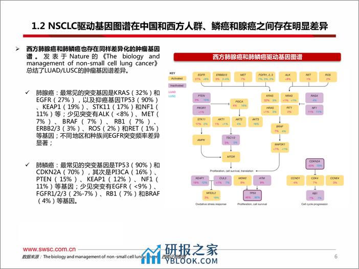 创新药专题：ADC和双抗领衔EGFR敏感突变三代TKIs耐药后和1L NSCLC，20ins小分子竞争激烈 - 第7页预览图